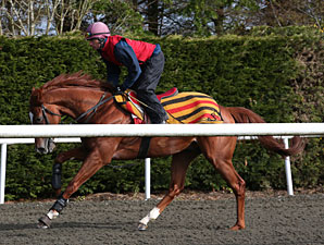 Daddy Long Legs in Final Drill; Ships Tuesday Daddy Long Legs in Final Drill; Ships Tuesday