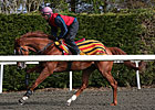 Daddy Long Legs in Final Drill; Ships Tuesday Daddy Long Legs in Final Drill; Ships Tuesday