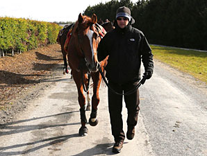 Woodford Is Rooting for Its Derby 'Daddy' Woodford Is Rooting for Its Derby 'Daddy'