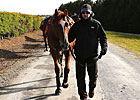 Woodford Is Rooting for Its Derby 'Daddy' Woodford Is Rooting for Its Derby 'Daddy'