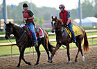 Daddy Long Legs at Churchill Downs