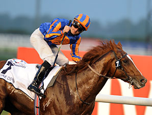 Daddy Long Legs Storms Home in UAE Derby Daddy Long Legs Storms Home in UAE Derby