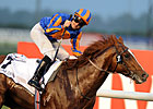 Daddy Long Legs Storms Home in UAE Derby Daddy Long Legs Storms Home in UAE Derby
