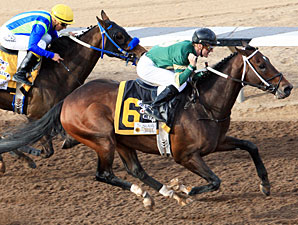 Daddy Nose Best Shows Grit in Sunland Derby Daddy Nose Best Shows Grit in Sunland Derby