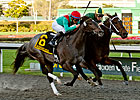 Daddy Nose Best Gets El Camino Real Nod