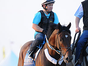 Daddy Nose Best Heads Hall of Fame Stakes Daddy Nose Best Heads Hall of Fame Stakes