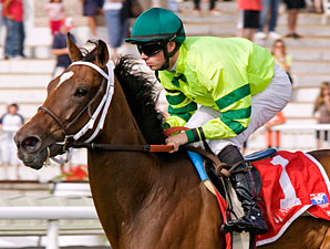 Dade Babe Kisses Pucker Up Rivals Goodbye Dade Babe Kisses Pucker Up Rivals Goodbye