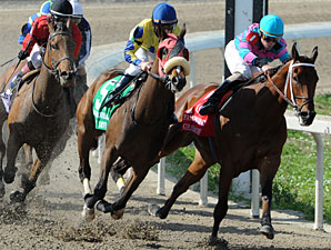Oaks-Bound Fillies Work at Churchill Oaks-Bound Fillies Work at Churchill