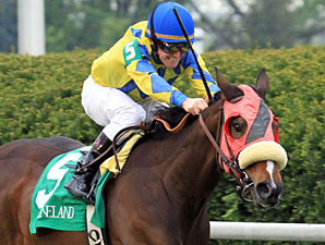 Daisy Devine to Keeneland November Sale Daisy Devine to Keeneland November Sale