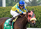Daisy Devine to Keeneland November Sale Daisy Devine to Keeneland November Sale