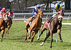 Daisy Devine Favored in Bayou Handicap Daisy Devine Favored in Bayou Handicap