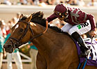 Breeders' Cup Perfect Trip: Aug 28 Nominees