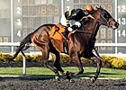 Vigil Beckons Cartier Winner Dan the Tin Man Vigil Beckons Cartier Winner Dan the Tin Man