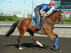 Imports Add Intrigue to Shadwell Turf Mile Imports Add Intrigue to Shadwell Turf Mile