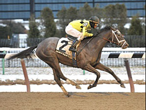 Dance Quietly, a A.P. Indy/Quiet American win Dance Quietly, a A.P. Indy/Quiet American win