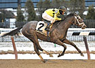 Dance Quietly, a A.P. Indy/Quiet American win