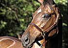 Hall of Famer Dance Smartly Dead