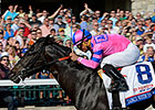 Dance With Fate Injured in Del Mar Incident Dance With Fate Injured in Del Mar Incident