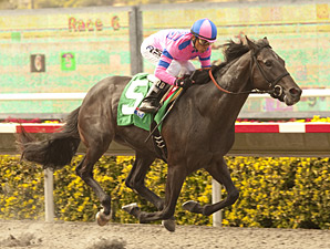 OBS Grad Dance With Fate Steps Up in Juvenile OBS Grad Dance With Fate Steps Up in Juvenile