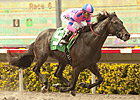 OBS Grad Dance With Fate Steps Up in Juvenile OBS Grad Dance With Fate Steps Up in Juvenile
