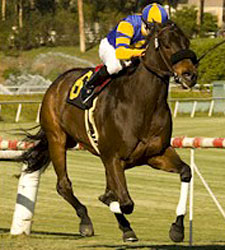 Dance With Gable Takes Step Up for Daytona Dance With Gable Takes Step Up for Daytona