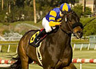 Dance With Gable Takes Step Up for Daytona Dance With Gable Takes Step Up for Daytona