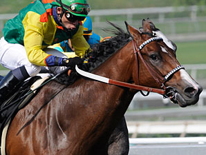Dancing in Silks, Bob Black Jack Set to Clash Dancing in Silks, Bob Black Jack Set to Clash