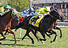 Illinois Horsemen Object to Stake's Inclusion Illinois Horsemen Object to Stake's Inclusion