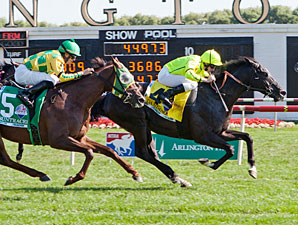 Dandino Seals Deal in American St. Leger Dandino Seals Deal in American St. Leger