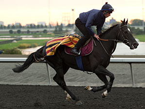 Botti to Saddle Dandino in American St. Leger Botti to Saddle Dandino in American St. Leger