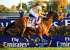 Dangerous Midge Gives Dettori 4th BC Turf Win