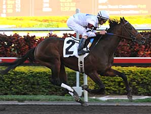 Ky. Derby Trail: Let the Lists Begin Ky. Derby Trail: Let the Lists Begin