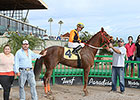 Milestone Win 1,000 for Jockey Vergara Milestone Win 1,000 for Jockey Vergara