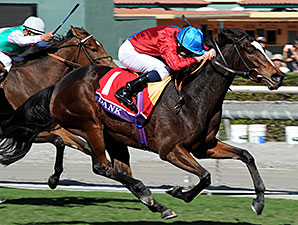 Dank Looms Large in Turf Filly Eclipse Battle Dank Looms Large in Turf Filly Eclipse Battle