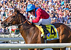 Dank is Top Female Turf Horse Dank is Top Female Turf Horse