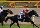 Danon Chantilly Sets Mark in Japan's Mile Cup Danon Chantilly Sets Mark in Japan's Mile Cup