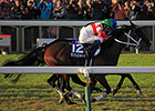 Danon Shark Wins Mile Championship Thriller Danon Shark Wins Mile Championship Thriller