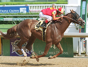 Northern Dancer Thoroughbred