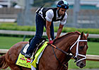 Pletcher Believes Danza Peaking at Right Time Pletcher Believes Danza Peaking at Right Time