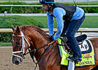 Danza Puts Eclipse in Derby Spotlight Danza Puts Eclipse in Derby Spotlight