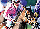 Darara, Dam of Four Champions, Dies Darara, Dam of Four Champions, Dies