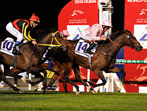 Dar Re Mi Scales Dubai Sheema Classic Dar Re Mi Scales Dubai Sheema Classic
