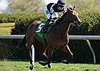 Daring Dancer Wins Appalachian With Key Move Daring Dancer Wins Appalachian With Key Move