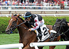 Daring Dancer Prevails in Lake George Stakes Daring Dancer Prevails in Lake George Stakes