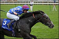 Dark Angel Soars to Win Middle Park Dark Angel Soars to Win Middle Park