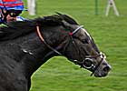 Dark Angel Soars to Win Middle Park