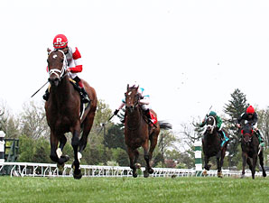 Dark Cove Earns Ramseys Keeneland Gold Tray Dark Cove Earns Ramseys Keeneland Gold Tray
