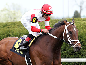 Distance Key for Dark Cove in Louisville 'Cap Distance Key for Dark Cove in Louisville 'Cap