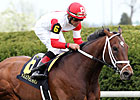 Dark Cove Scratched from St. Leger Dark Cove Scratched from St. Leger