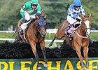 Dark Equation Takes Turf Writers 'Chase Dark Equation Takes Turf Writers 'Chase